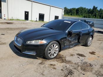  Salvage Jaguar XF