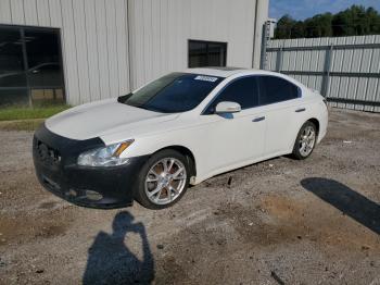  Salvage Nissan Maxima