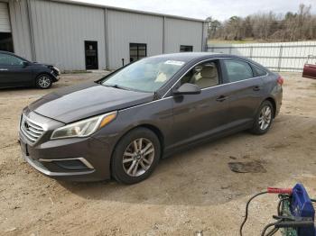  Salvage Hyundai SONATA