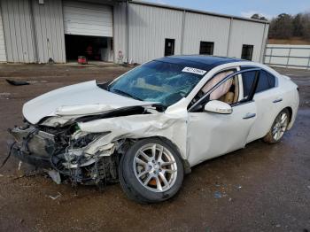  Salvage Nissan Maxima