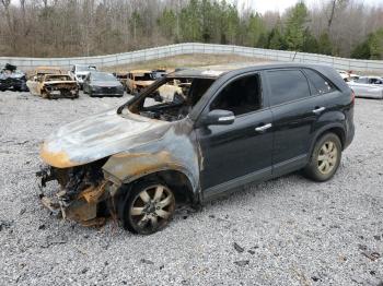  Salvage Kia Sorento