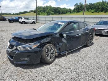  Salvage Nissan Maxima