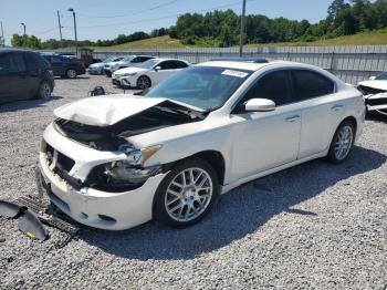 Salvage Nissan Maxima