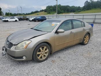  Salvage Nissan Maxima