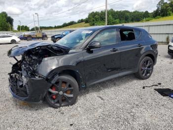  Salvage Dodge Hornet Gt