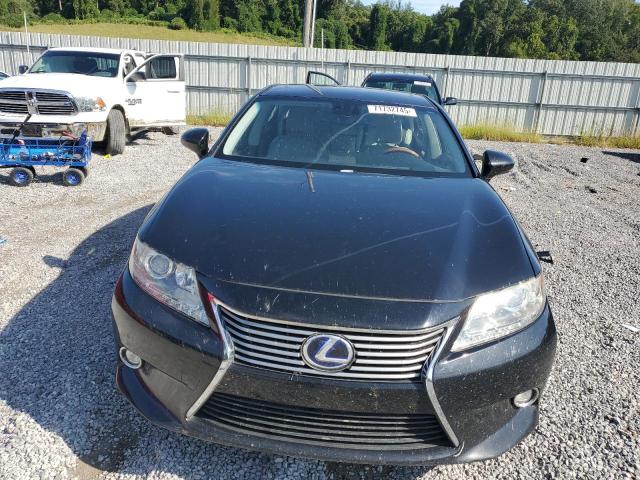 Lexus Es 300h Image 6