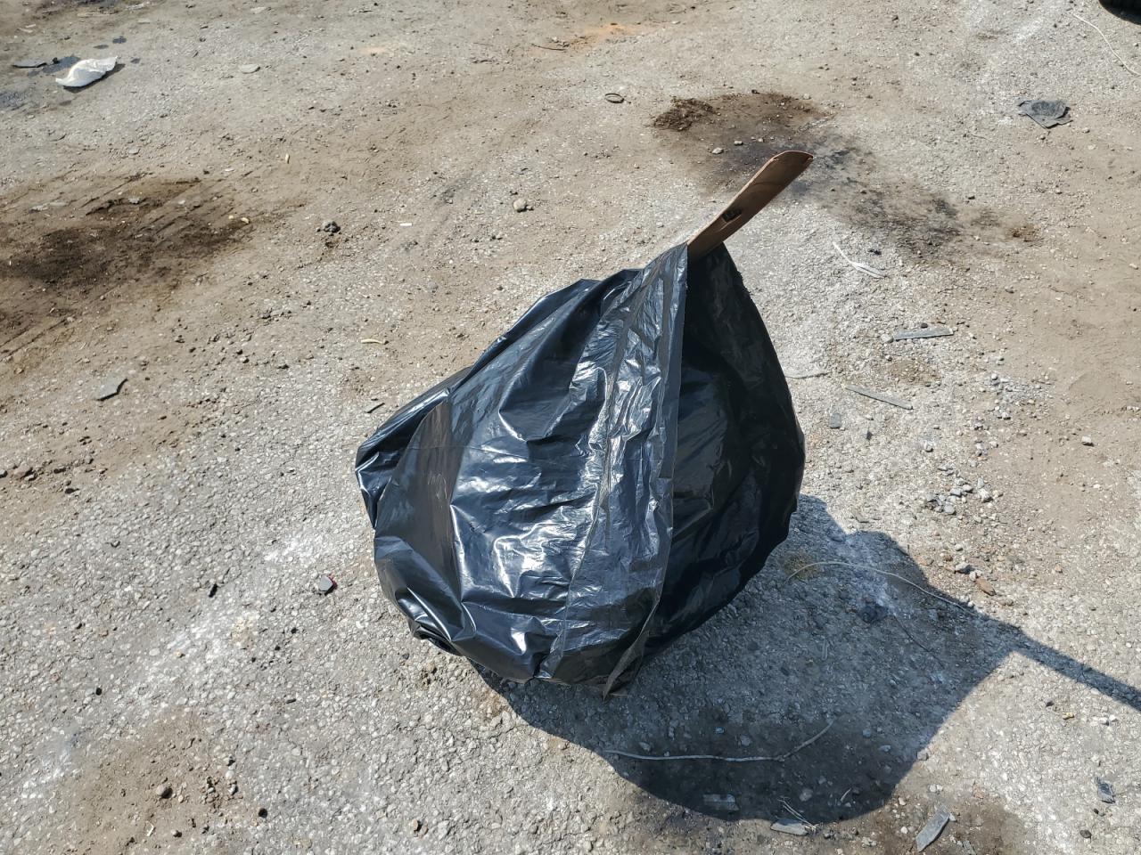 Dodge Charger Se Image 12