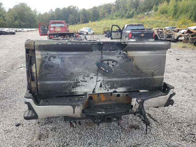 Ford F-250 Super Duty Image 8