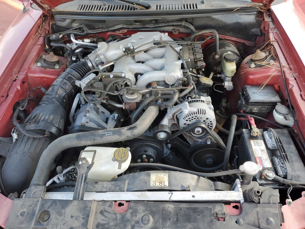 Ford Mustang Image 10