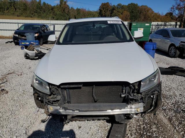 Audi Q5 Premium Plus Image 11