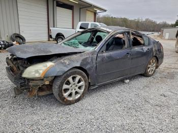  Salvage Nissan Maxima