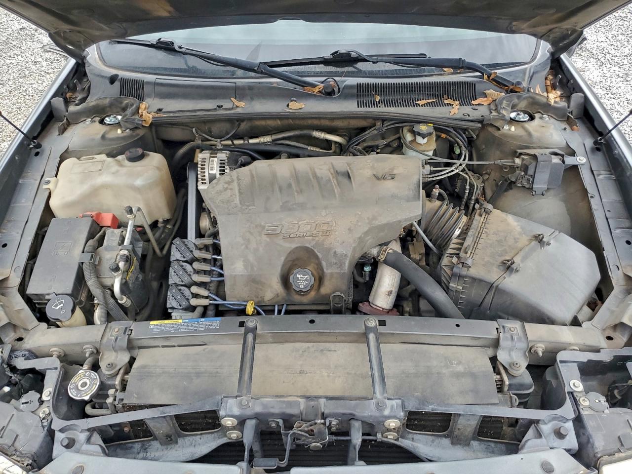 Buick LeSabre Custom Image 7