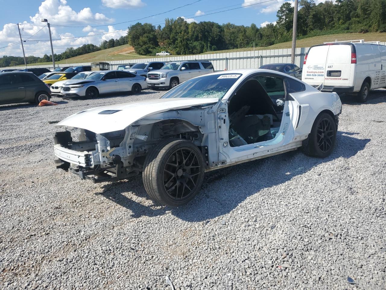 Ford Mustang Gt Image 1