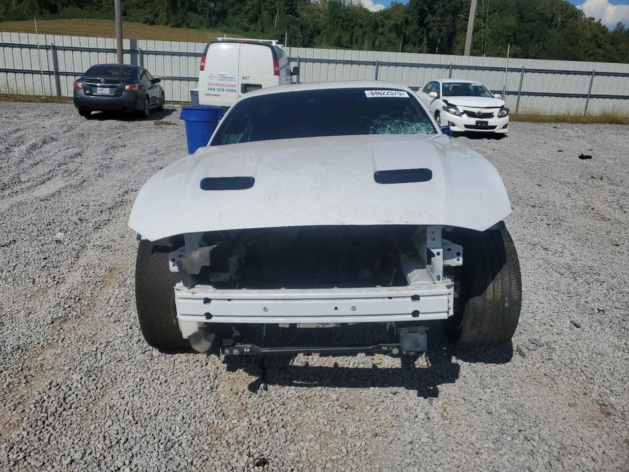 Ford Mustang Gt Image 5