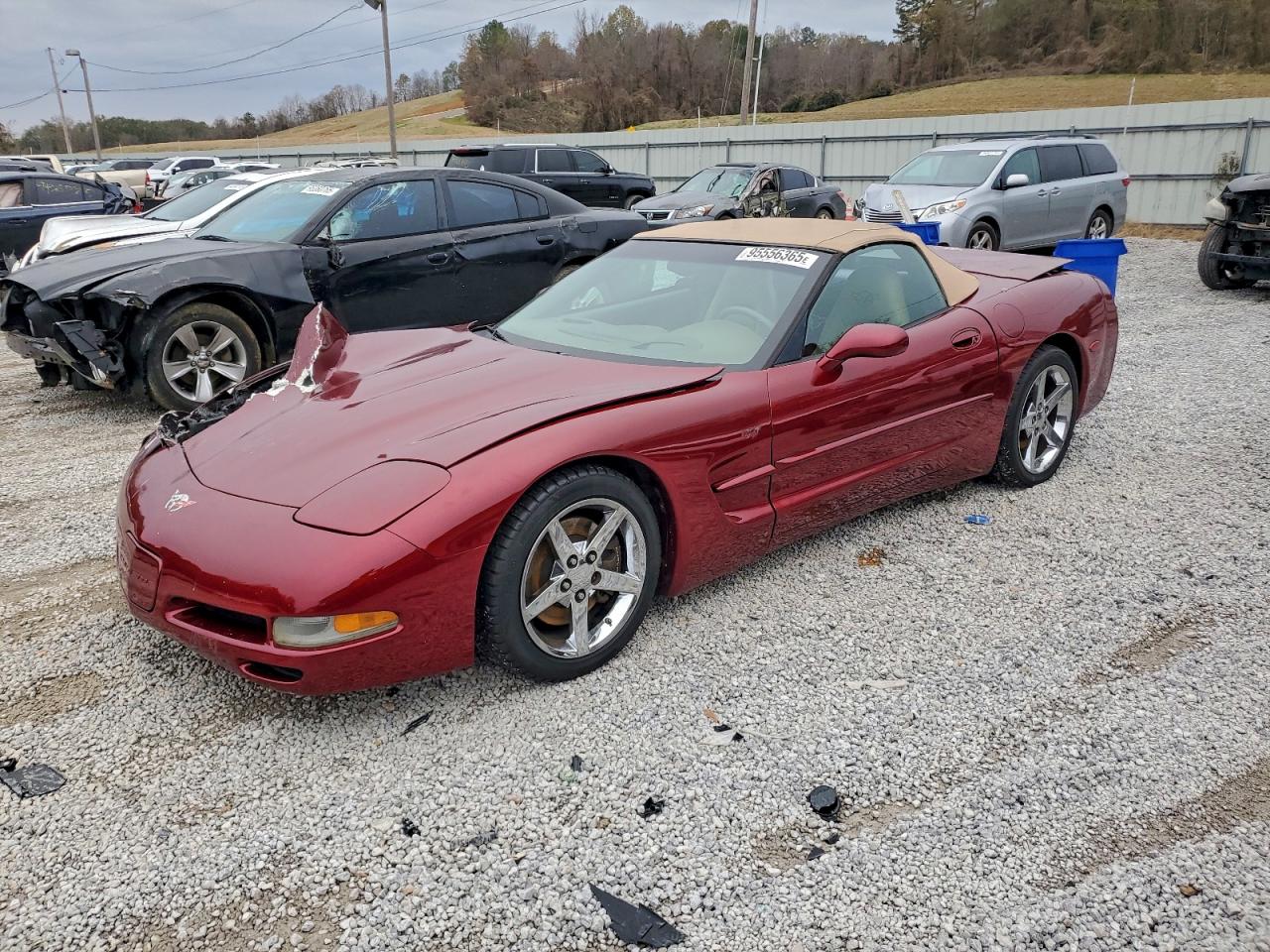Chevrolet Corvette Image 1