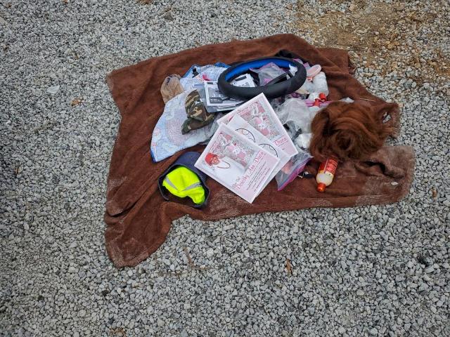 Dodge Charger Sxt Image 8