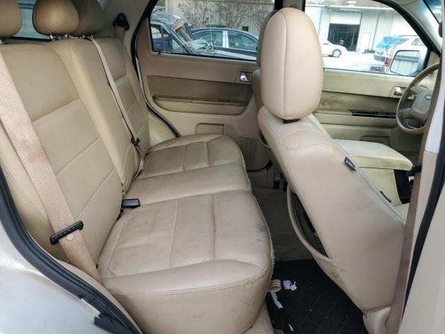 Ford Escape Limited Image 7