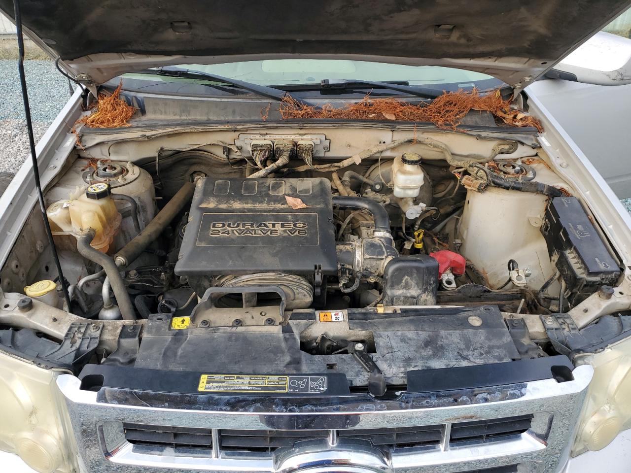 Ford Escape Limited Image 13