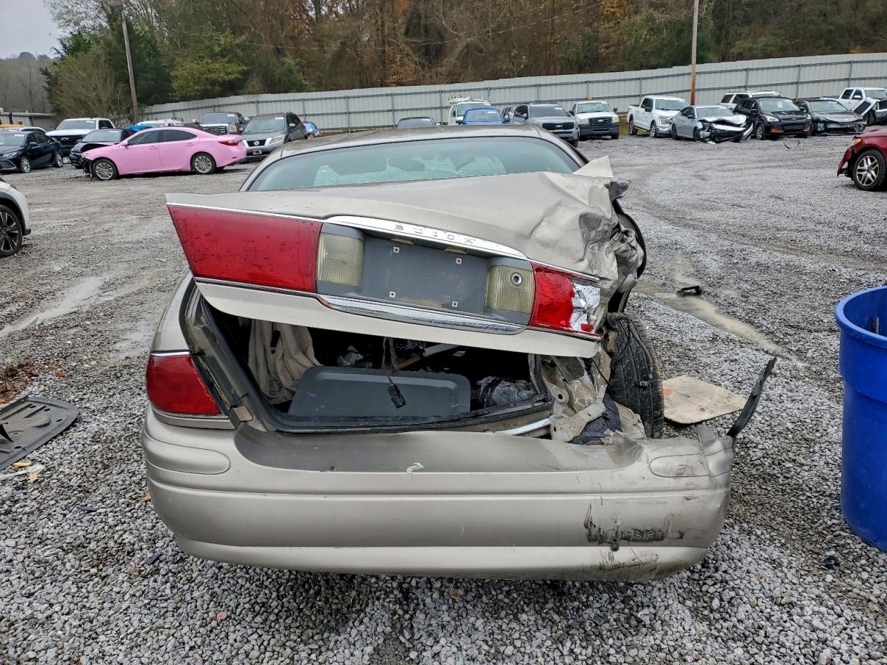 Buick LeSabre Custom Image 8