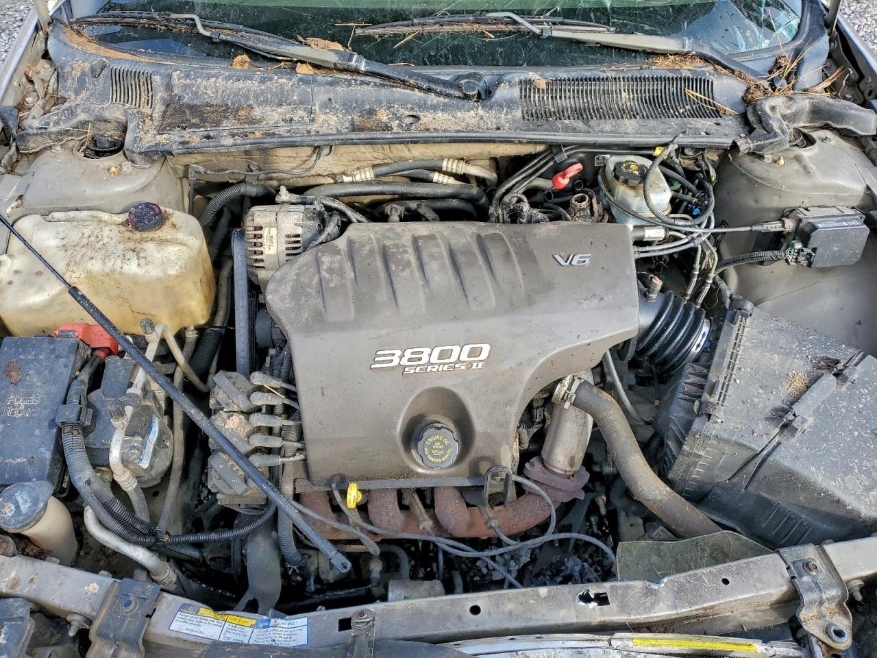 Buick LeSabre Custom Image 6