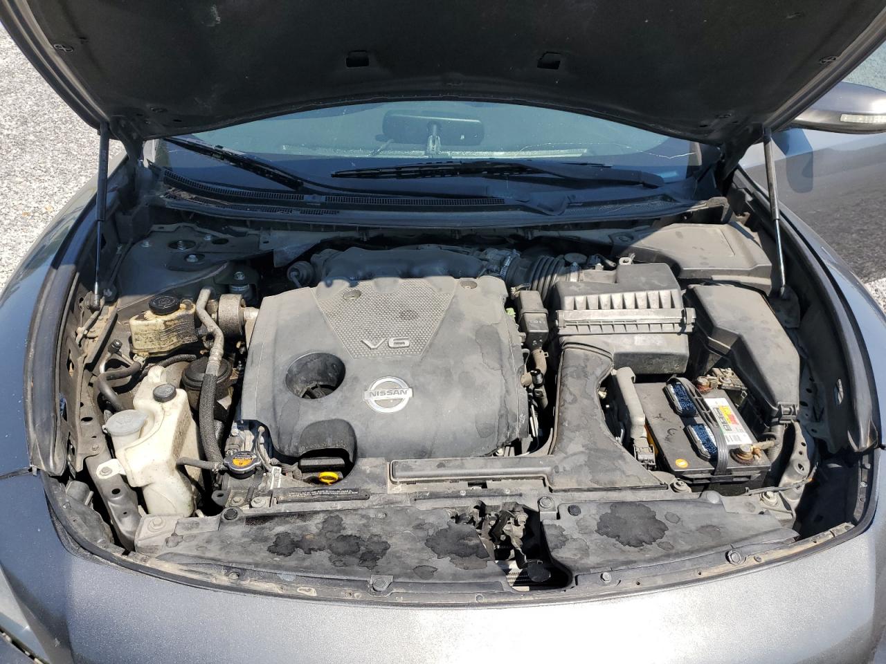 Nissan Maxima S Image 11