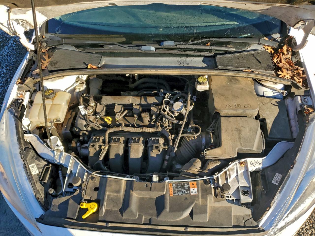 Ford Focus Se Image 6