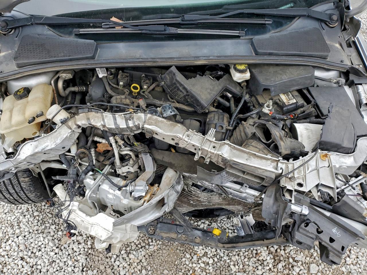 Ford Focus Sel Image 8