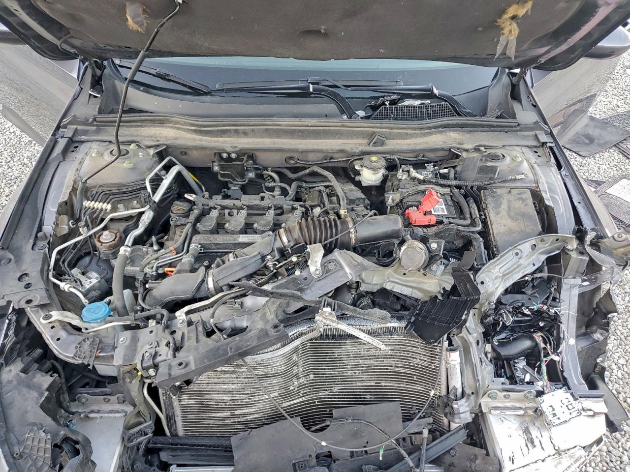 Honda Accord Ex Image 12